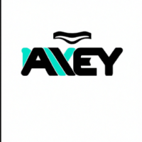 create a logo for a company named Aneyx
